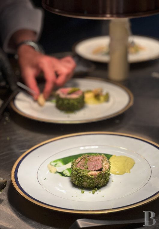 En Eure-et-Loire, à l’ouest de Chartres, un château du 17e dans un parc de 140 ha traversé par l’Eure - photo  n°10